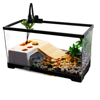 Vėžlių dėžė su džiovinimo stalu, dydis: Braziliško vėžlio „Aquiland“ buitinis plastikinis vėžlių bakelis, specialus ekologiškas bakelis vėžliams auginti.