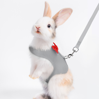 Amazon Rabbit Harness Λουρί για Ινδικά Χοιρίδια Μικρό Λουρί για Κατοικίδια Ζώνη σε Στυλ Γιλέκου για Σκύλους