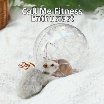 Κρύσταλλο χάμστερ, μπάλα τρεξίματος, τροχός τρεξίματος, κυλινδρικός τροχός, Golden Bear, τσάντα μελιού σκίουρου, διαφανής εξωτερική ζώνη, αθλητική μπάλα, τεχνούργημα ποντικιού με περπάτημα