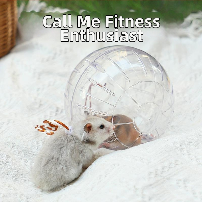 Кристална топка за бягане с хамстер, бягащо колело, ролка, Златна мечка, катерица, торбичка с мед, прозрачна външна лента, спортна топка, ходеща мишка, артефакт