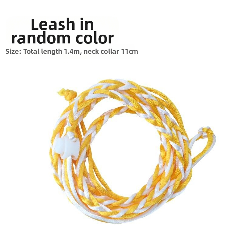 Hörcsög Kristály futólabda futókerék görgő Arany Medve mókus mézzsák átlátszó külső szalag Sportlabda séta egér tárgy