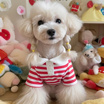 Раирана риза поло риза кученце домашен любимец котка лято тънко плюшено мече малко куче котка котка пролет и лято