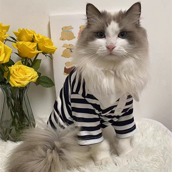 Раирана риза поло риза кученце домашен любимец котка лято тънко плюшено мече малко куче котка котка пролет и лято