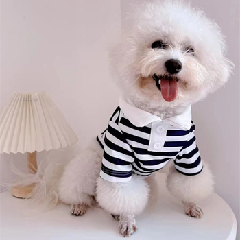 Раирана риза поло риза кученце домашен любимец котка лято тънко плюшено мече малко куче котка котка пролет и лято