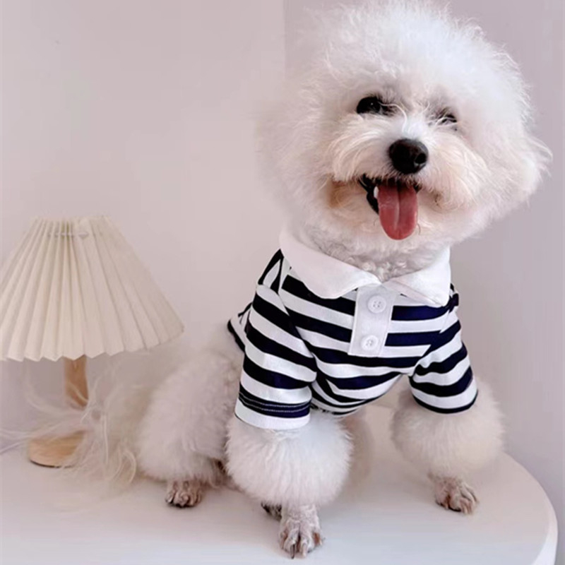 Раирана риза поло риза кученце домашен любимец котка лято тънко плюшено мече малко куче котка котка пролет и лято