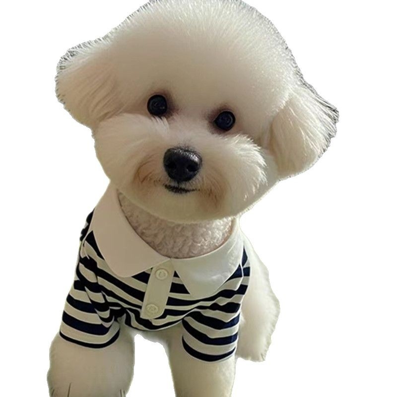 Раирана риза поло риза кученце домашен любимец котка лято тънко плюшено мече малко куче котка котка пролет и лято