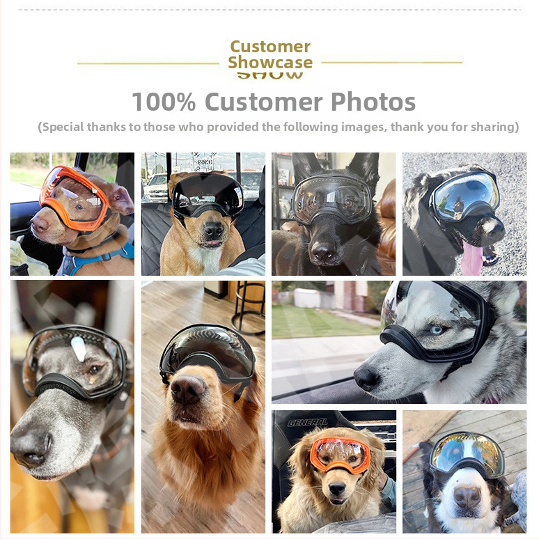 Шапки за домашни любимци Очила за кучета с голяма рамка Слънчеви очила за средно големи кучета Снежни анти-UV очила за домашни любимци