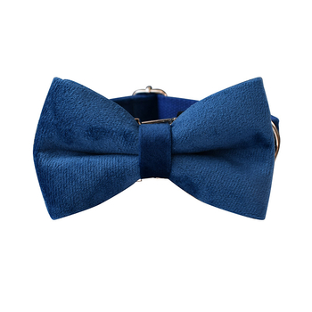 Μπλε βελούδινο κολάρο σκύλου, σχοινί σκύλου, δαχτυλίδι λαιμού για κατοικίδια, κράμα αγκράφα, εργοστάσιο άμεσης διασυνοριακής προμήθειας κατοικίδιων ζώων, τρίχα