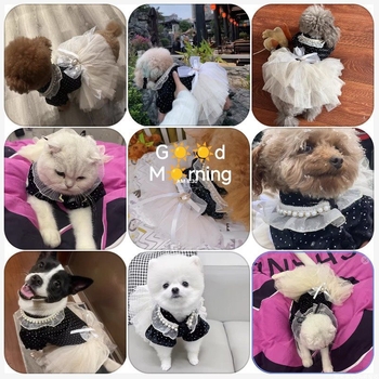 Σάλτσα ρυζιού Pumpy Polka Άνοιξη και Φθινόπωρο Ρούχα για κατοικίδια Νυφικό με αρκουδάκι Φόρεμα πριγκίπισσας για σκύλους Φόρεμα γάτας Μαλτέζ