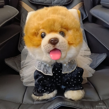 Σάλτσα ρυζιού Pumpy Polka Άνοιξη και Φθινόπωρο Ρούχα για κατοικίδια Νυφικό με αρκουδάκι Φόρεμα πριγκίπισσας για σκύλους Φόρεμα γάτας Μαλτέζ