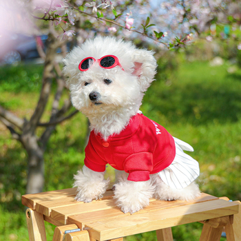 Εντοπισμός διασυνοριακών εκρήξεων κατοικίδιο κουτάβι γάτα ρούχα πηγή εργοστάσιο casual γράμματα ράψιμο φούστα μια γενιά μαλλιών