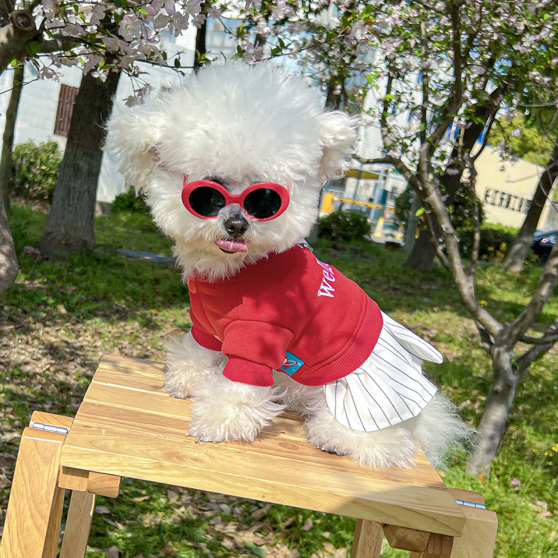 Точкови трансгранични експлозии домашни любимци кученца котки дрехи източник фабрика ежедневни букви шиене пола поколение коса