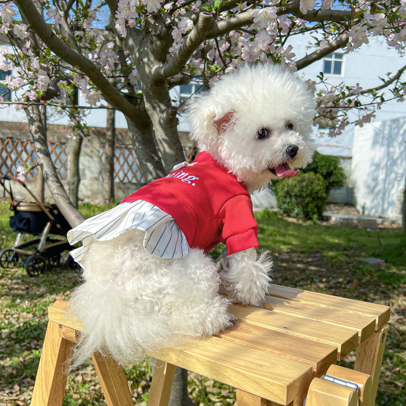 Точкови трансгранични експлозии домашни любимци кученца котки дрехи източник фабрика ежедневни букви шиене пола поколение коса