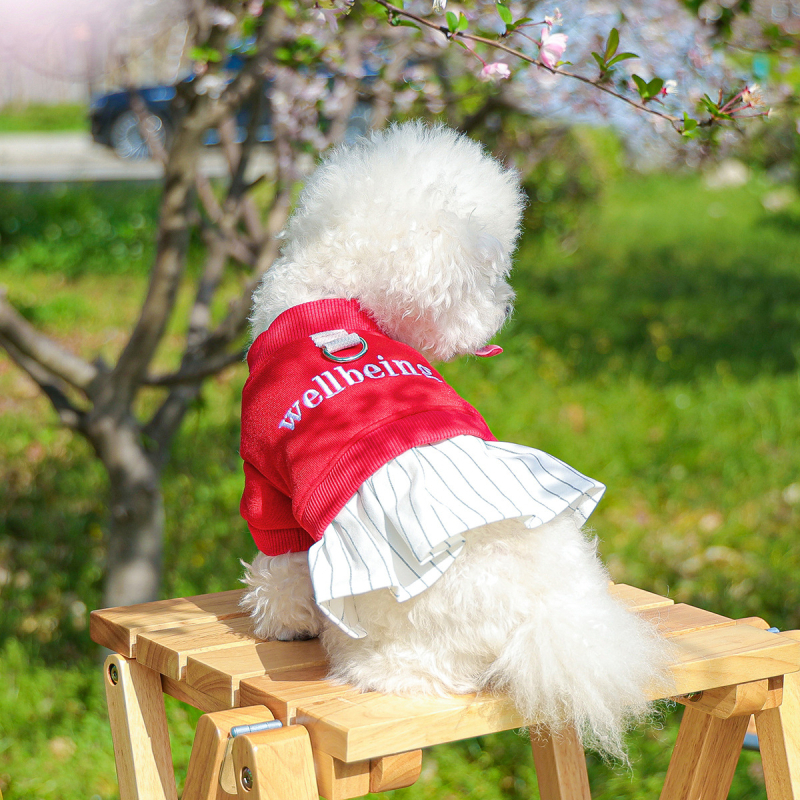 Точкови трансгранични експлозии домашни любимци кученца котки дрехи източник фабрика ежедневни букви шиене пола поколение коса