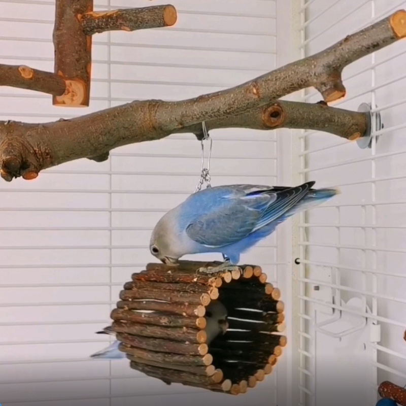 Птиче гнездо, играчка за птици, принадлежности за играчки за папагал, пръстени за люлка за папагал, играчка за птици, катерене W42