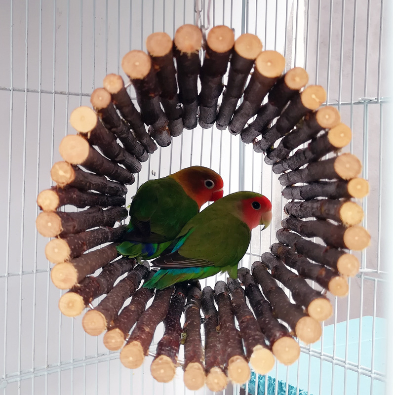 Птиче гнездо, играчка за птици, принадлежности за играчки за папагал, пръстени за люлка за папагал, играчка за птици, катерене W42