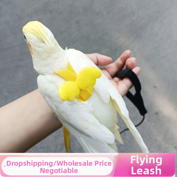 Papagoi lendava köie rihm, linnu kõndimisköis, tiigri nahaga Xuanfeng väike päikesejalgadega ülikerge veojõuköis