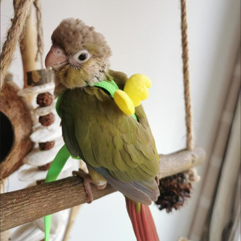 Papagoi lendava köie rihm, linnu kõndimisköis, tiigri nahaga Xuanfeng väike päikesejalgadega ülikerge veojõuköis