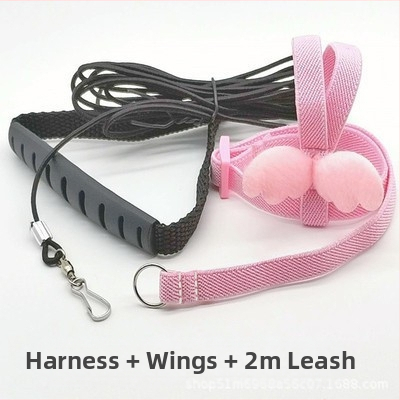 Papagoi lendava köie rihm, linnu kõndimisköis, tiigri nahaga Xuanfeng väike päikesejalgadega ülikerge veojõuköis