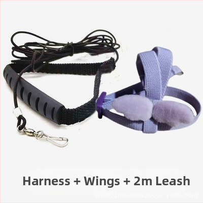 Papagoi lendava köie rihm, linnu kõndimisköis, tiigri nahaga Xuanfeng väike päikesejalgadega ülikerge veojõuköis