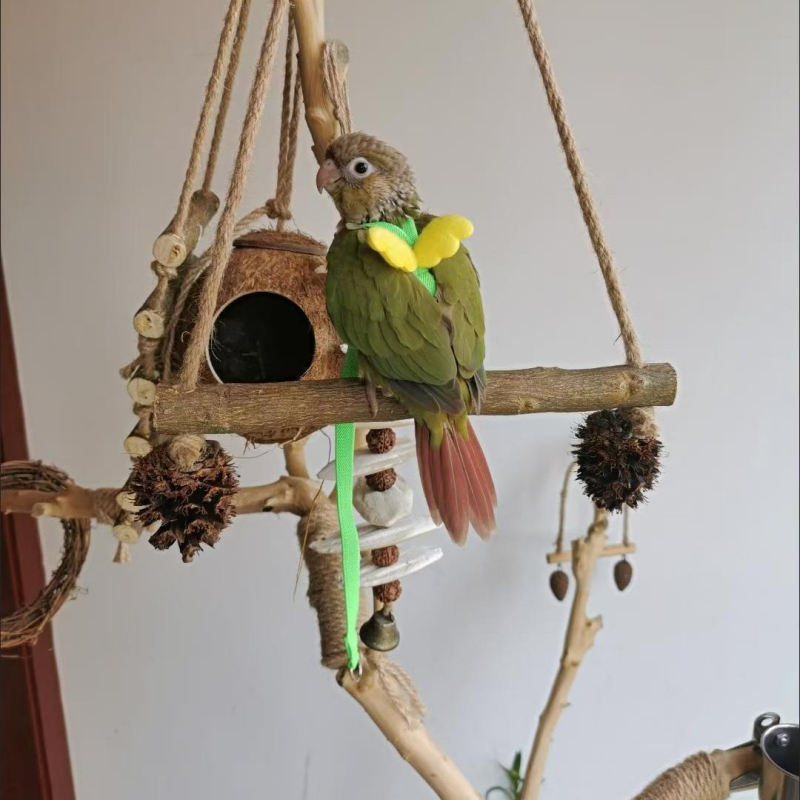 Papagoi lendava köie rihm, linnu kõndimisköis, tiigri nahaga Xuanfeng väike päikesejalgadega ülikerge veojõuköis