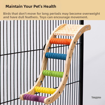 Παιχνίδι παπαγάλου πουλιών με παγωμένη μακριά σκάλα, δάχτυλο διαβόλου, δέρμα τίγρης, μαύρος φοίνικας, στύλος ζωντανών πουλιών, όρθιο μπαστούνι, αξεσουάρ κλουβιών πουλιών