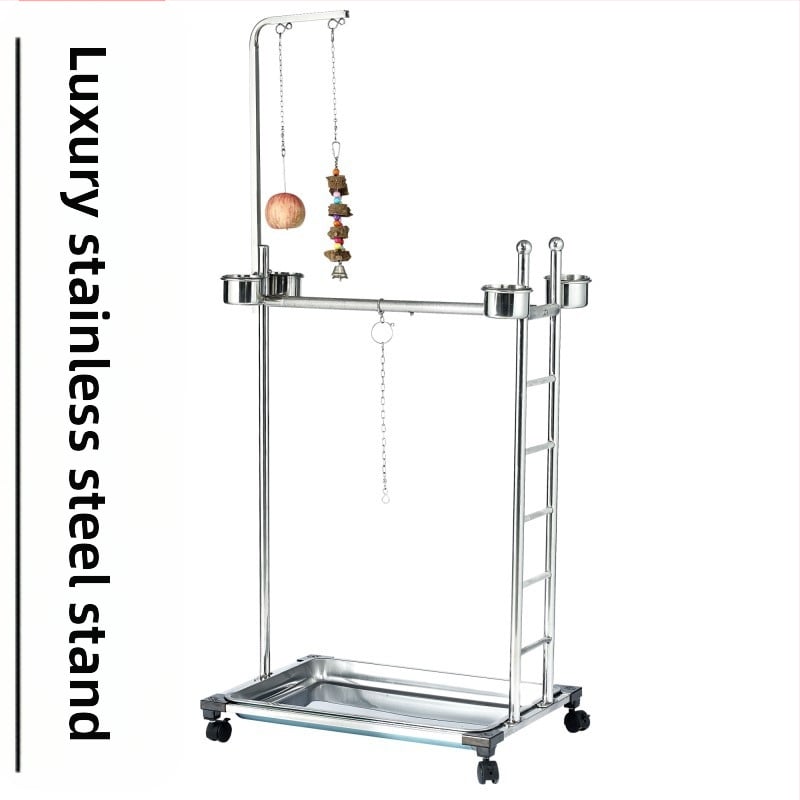 Suport pentru papagal gri, mediu și mare, din oțel inoxidabil, pentru păsări, colivie de podea, mare, floarea-soarelui, King Kong, negru, Phoenix, suport mic pentru soare