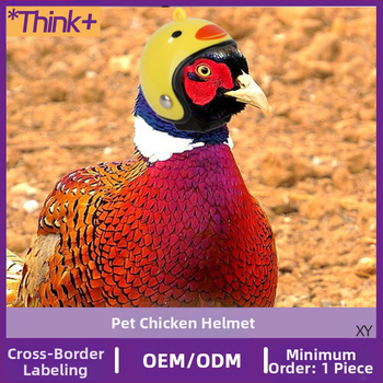 Каска за домашен любимец пиле Пощенски гълъб Каска за домашен любимец пиле гълъб Папагал Забавна защитна качулка Птица Предпазна каска