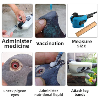 Προμήθειες περιστεριών Βάση για κατοικίδια, τάισμα φαρμάκων, θήκη εμβολίων, τάισμα, παρατήρηση πουλιών, ειδική για μωρά πουλιά