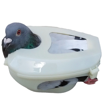 Προμήθειες περιστεριών Βάση για κατοικίδια, τάισμα φαρμάκων, θήκη εμβολίων, τάισμα, παρατήρηση πουλιών, ειδική για μωρά πουλιά