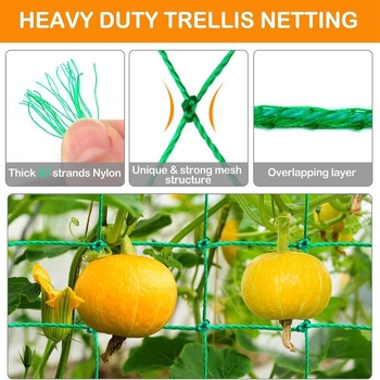 Tarpvalstybinis sodininkystės augalų laipiojimo tinklas, vaisių ir daržovių augalų atraminis tinklas, šiltnamio gėlių vynmedžių nailono tinklas