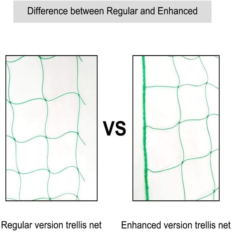Tarpvalstybinis sodininkystės augalų laipiojimo tinklas, vaisių ir daržovių augalų atraminis tinklas, šiltnamio gėlių vynmedžių nailono tinklas