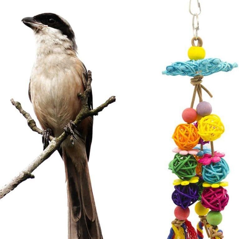 Играчка за ухапване от папагал, аксесоари за клетка за птици, принадлежности за птици, прибори за хранене, ратанова топка с цвят на петолъчна звезда, дървена играчка за птици