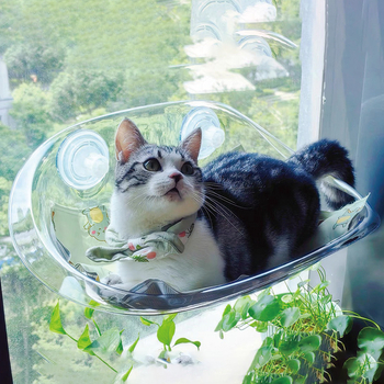 Αιώρα γάτας με παράθυρο, πλαίσιο αναρρίχησης για γάτες, βεντούζα, κρεμαστή διαφανής αιώρα γάτας, μοντέρνα βίλα γάτας, γατίσια ηλιοθεραπεία