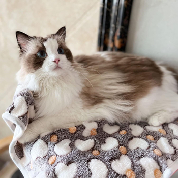 Κουβέρτα Four Seasons για σκύλους, φθινοπωρινό και χειμωνιάτικο πάπλωμα, ζεστή κουβέρτα, χαλάκι σκύλου, διασυνοριακά είδη κατοικίδιων ζώων, χονδρική πώληση