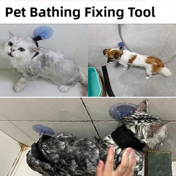 Lemmiklooma vanni fikseeritud artefaktiga kassi iluvanni puhastusvahend imeja fikseeritud kaelarihm võltsimisvastane kriimustusvastane veojõuköis