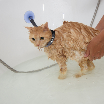 Lemmiklooma vanni fikseeritud artefaktiga kassi iluvanni puhastusvahend imeja fikseeritud kaelarihm võltsimisvastane kriimustusvastane veojõuköis