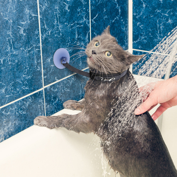 Lemmiklooma vanni fikseeritud artefaktiga kassi iluvanni puhastusvahend imeja fikseeritud kaelarihm võltsimisvastane kriimustusvastane veojõuköis