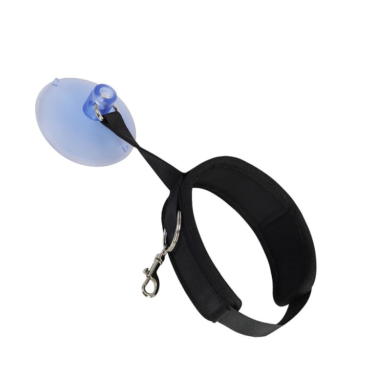 Lemmiklooma vanni fikseeritud artefaktiga kassi iluvanni puhastusvahend imeja fikseeritud kaelarihm võltsimisvastane kriimustusvastane veojõuköis