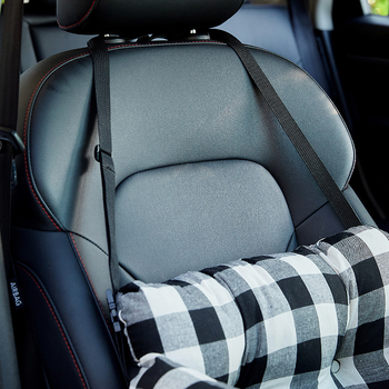 Διασυνοριακό φορητό χαλάκι αυτοκινήτου για γάτες, νέο εξωτερικό χαλάκι για μικρά σκυλιά όλες τις εποχές