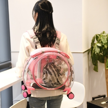 Θήκη για καρότσι κατοικίδιων, διαφανής θήκη κατοικίδιων, φορητή εξωτερική τσάντα για γάτες, πολυλειτουργική τσάντα για κατοικίδια, κάψουλα χώρου