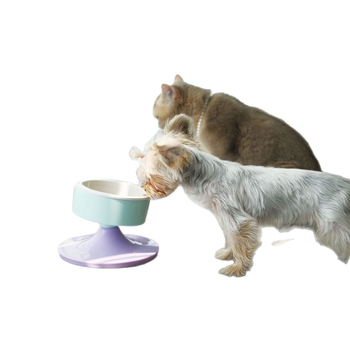 Amazon New Pet Products Προστασία λαιμού με ψηλό πόδι Λεκάνη τροφής για γάτες με αντικραδασμική ρύθμιση ποτίστρας για σκύλους
