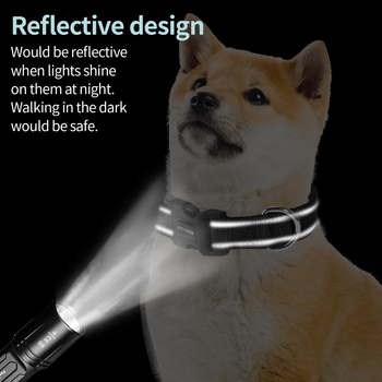 Διασυνοριακό, ζεστό σε πωλήσεις, ανακλαστικό, ρυθμιζόμενο κολάρο σκύλου με επένδυση από νάιλον, χρώμα, μεσαίου και μεγάλου μεγέθους, κολάρο για κατοικίδια σκύλου