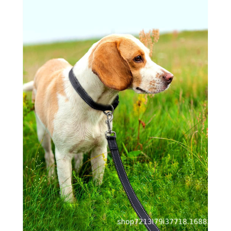 Плътноцветно имитация на найлоново въже за кучета, бонбонено оцветено, теглене на домашни любимци, въже за разходка на кучета, единично въже, стоки за домашни любимци, трансгранично теглене на кучета