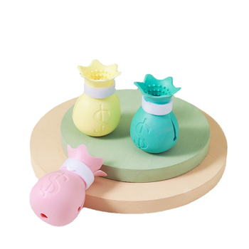 katės pėdų uždangalas, augintinio pėdų uždangalas, augintinių batai, katės batai, augintinių batai, katės nagų uždangalas, katės batai, katės tarpvalstybinis pėdų uždangalas