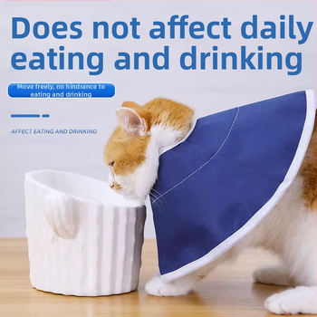 Elizabeth Circle Κατοικίδιο Γάτα Σκύλος Κουνέλι Γατάκι Elizabeth Αντιγλειπτικό Κεφαλοδέτης Αντιχαρακτικός Είδη Αποστείρωσης