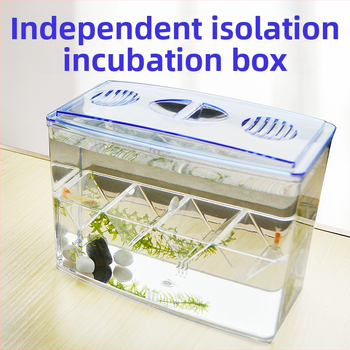 Sepijų inkubacijos dėžė, atskira izoliacinė dėžė, veisimo dėžė, daugiafunkcis akrilinis izoliacinis bakas
