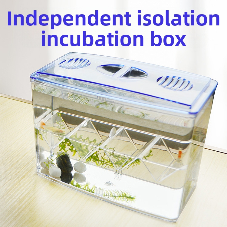 Sepijų inkubacijos dėžė, atskira izoliacinė dėžė, veisimo dėžė, daugiafunkcis akrilinis izoliacinis bakas