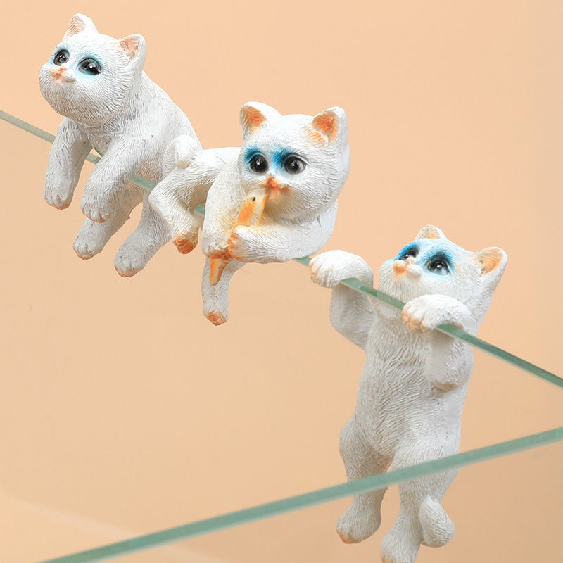 Akvariumo peizažas, katės kuprinė, akvariumo šoniniai pakabinami papuošalai, akvariumo stalas