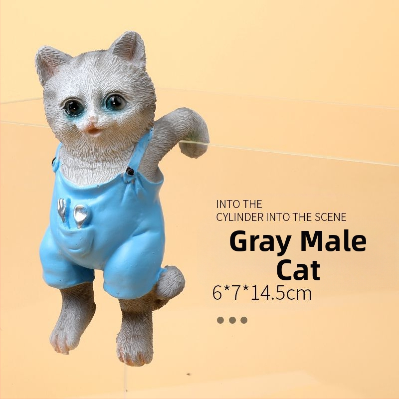 Akvariumo peizažas, katės kuprinė, akvariumo šoniniai pakabinami papuošalai, akvariumo stalas